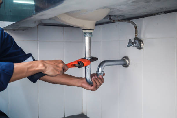 Best Commercial Plumbing Services  in Tama, IA